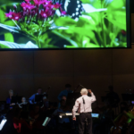 Early Bird Rates for Orchestra Novo Concerts End Soon