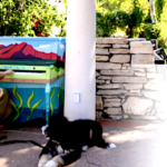 “ARTober” Shines a Local Spotlight on the Arts